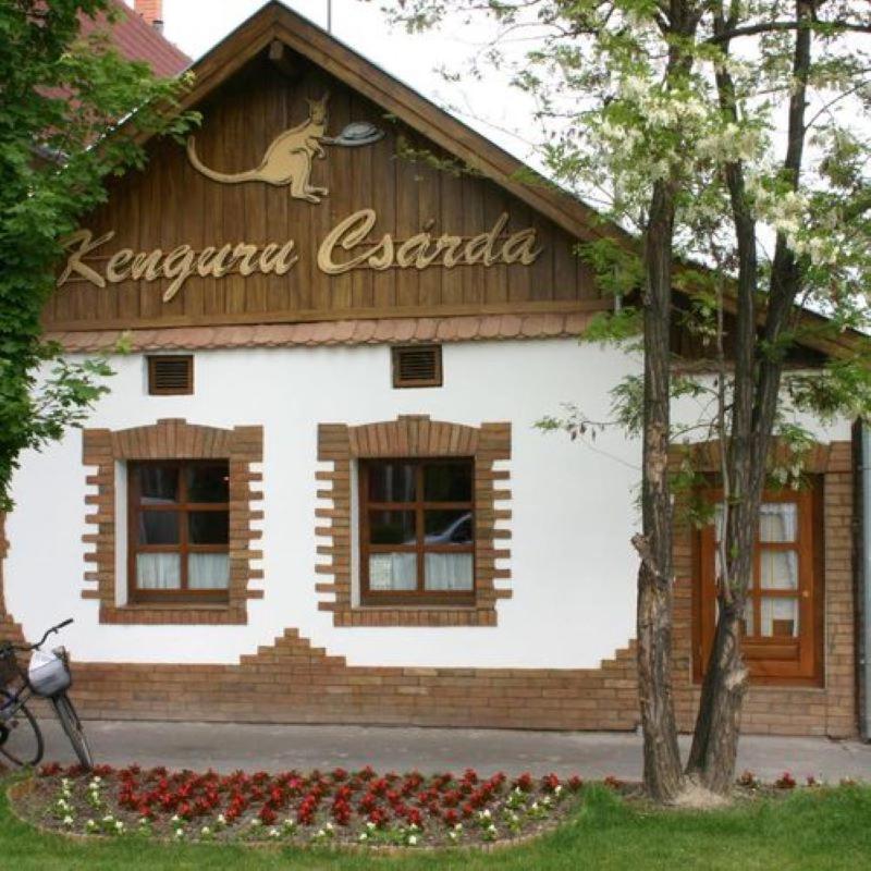 Отель Kenguru Panzio Ходмезёвашархей Экстерьер фото